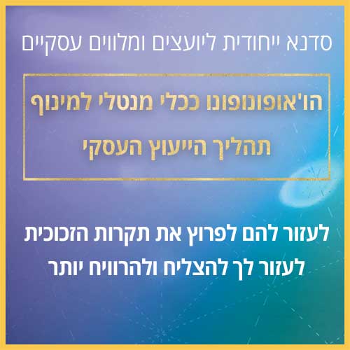 סדנה ליועצים עסקיים