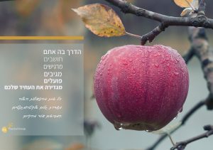 Read more about the article איך לדייק את העבודה עם הו'אופונופונו כדי לפגוש תוצאה רצויה?