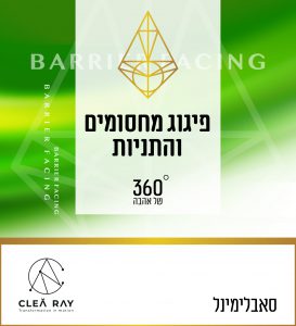 מתוך התכנית המלאה לפיתוח אהבה עצמית בסאבלימינל