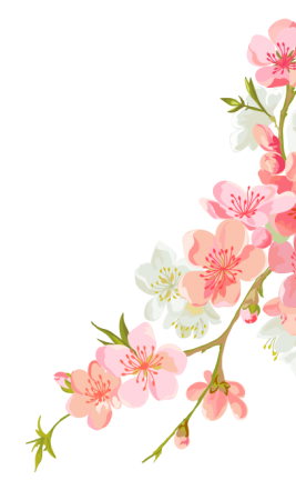 flowers-on-right2 פריחה אביבית